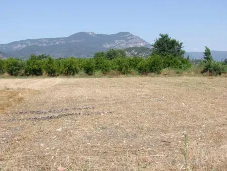 Grundstück Zum Verkauf An Der Ecke Von 540M2 In Okcular