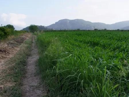 Bauernhof Zum Verkauf In Der Nähe Des Zentrums Von Dalyan,14, 612M2 Bauernhof Zum Verkauf