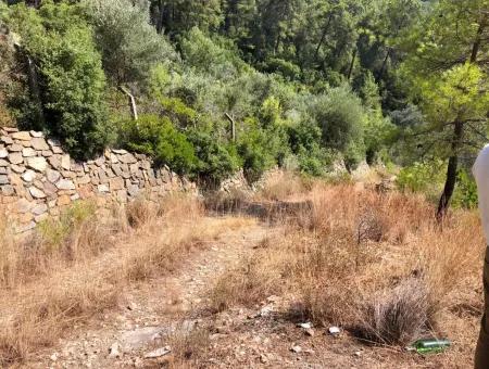 Tourismus-Zonen Grundstücke Zum Verkauf In Göcek Mit Meerblick Zum Verkauf In Gocek