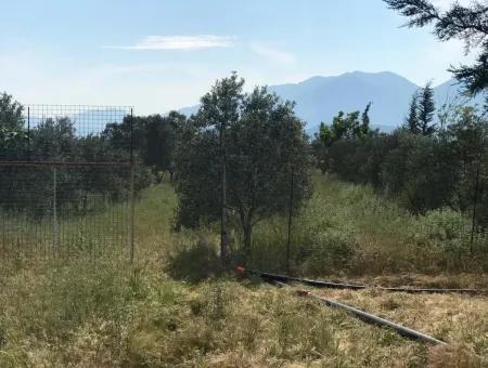 Ackerland Zum Verkauf In Seydikemer Korubuku 76000M2