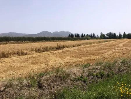 Ackerland Zum Verkauf 39 Hektar In Eskikoy