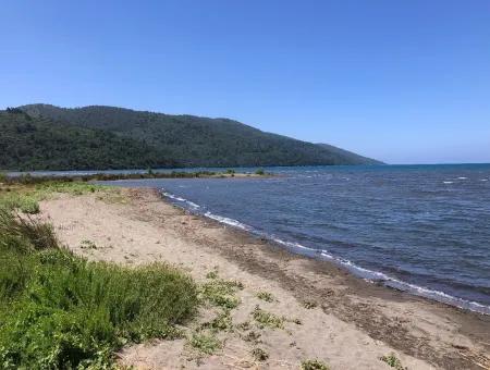 Garten Zum Verkauf In Gokce Akyaka, In Der Nähe Vom Meer, 38,000M2 Grundstück Zum Verkauf