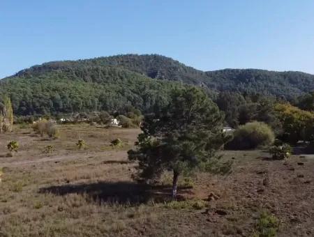 Land Zum Verkauf In 'Aml'da Marmaris 'Aml'da Meerblick 11720M2 Land Zu Verkaufen