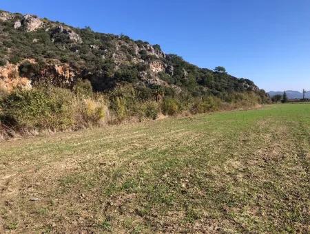 Land Zu Verkaufen In Sar'germede 30.000M2 Land Zum Verkauf Mit Meerblick