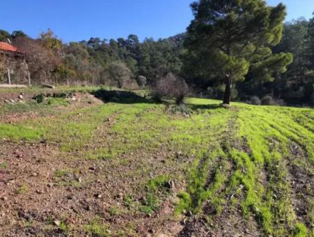 Gokbel Land Zu Verkaufen 8000M2 Land Zum Verkauf Mit Voller Meerblick