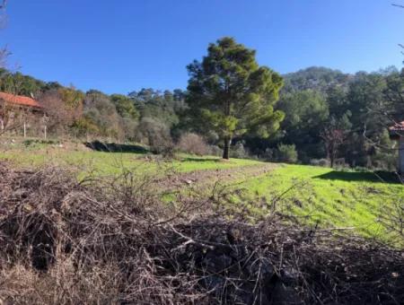 Gokbel Land Zu Verkaufen 8000M2 Land Zum Verkauf Mit Voller Meerblick