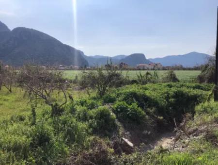 5500M2 Grundstück Zu Verkaufen In Dalyan