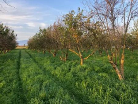 Bogenschützen Grundstück Zu Verkaufen 4707M2 Land Zu Verkaufen