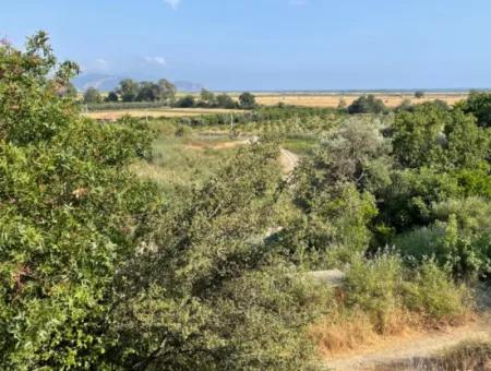 Land Zu Verkaufen In Fevziye 1858M2 Land Zum Verkauf Mit Voller Meerblick