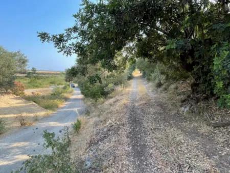 Land Zu Verkaufen In Fevziye 1858M2 Land Zum Verkauf Mit Voller Meerblick