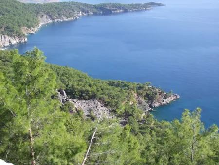 Immobilien-Schnäppchen-Grundstück Zu Verkaufen Mit Meerblick In Çandır Anruf In Ekincik