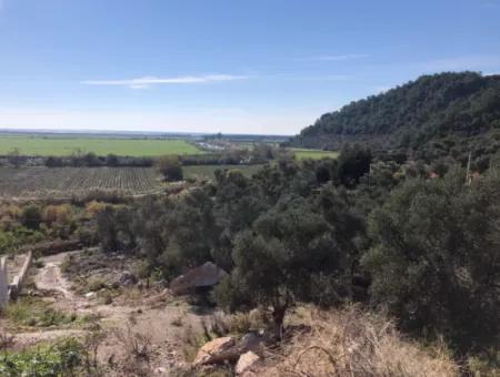 Grundstück Zum Verkauf Mit Meerblick Von Fevziye