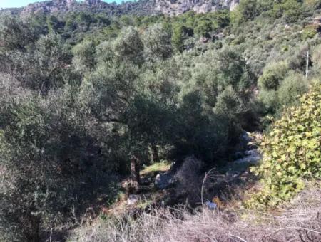 Grundstück Zum Verkauf Mit Meerblick Von Fevziye