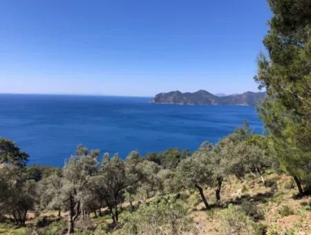 Grundstück Zum Verkauf Mit Meerblick In Çandir