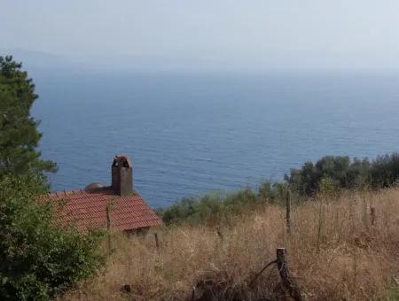 5000M2 Grundstück Zum Verkauf In Akyaka Mit Vollem Meerblick Haus Zum Verkauf Kentucky