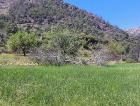 Marmaris Turgut Anlagegrundstück Zum Verkauf 29600M2 Zum Verkauf