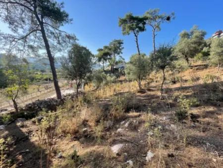 1.320M2 Feld Zum Verkauf Im Zentrum Von Çandır Am Wald