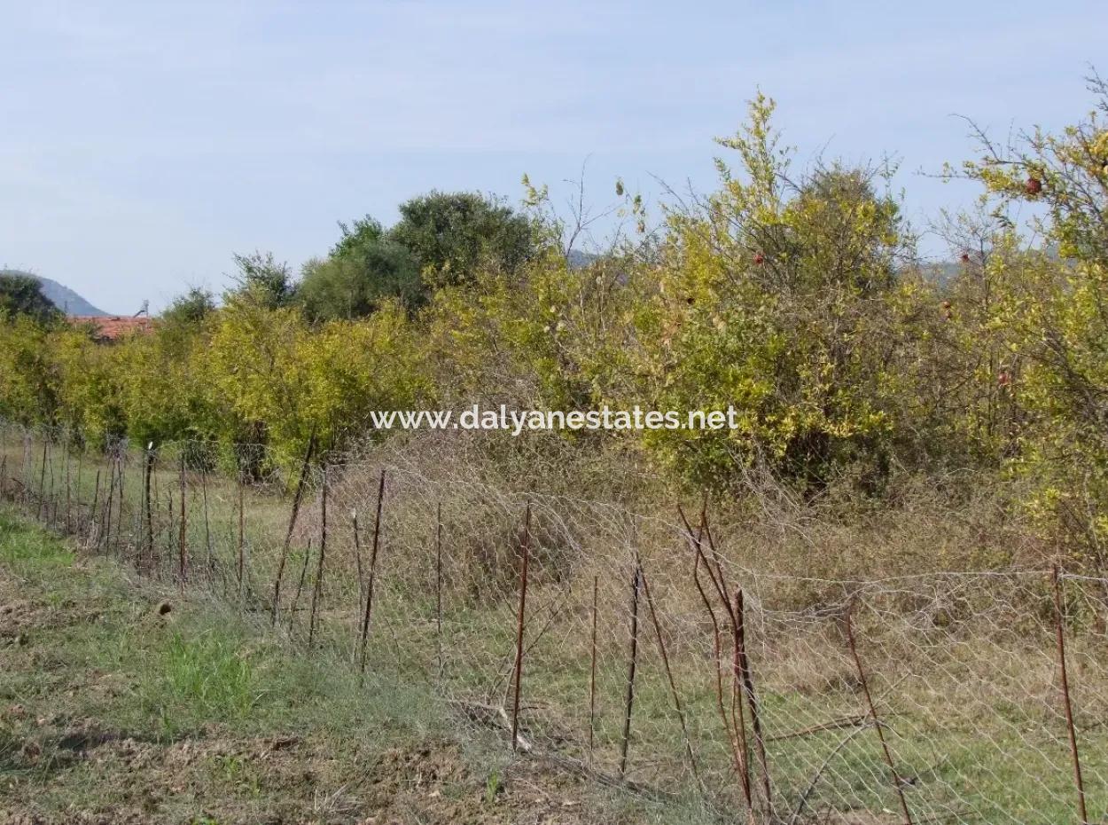 Güzelyurt Land For Sale Village Built 6670M2 Land For Sale