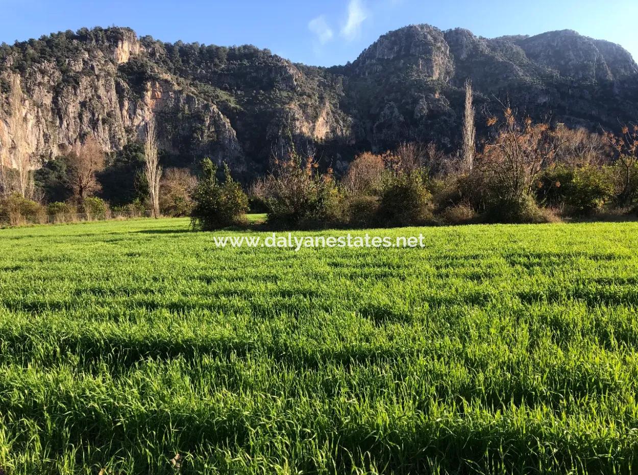 Land For Sale Marmarli 1500M2 Land For Sale