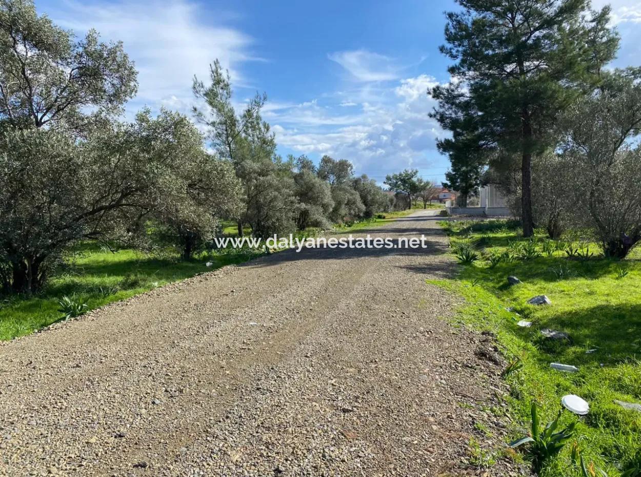 401M2 Land For Sale In Ortaca Cumhuriyet Neighborhood