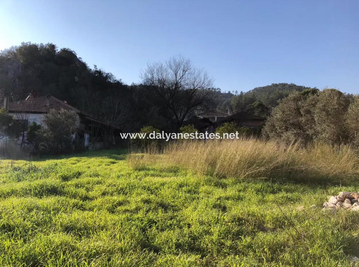 777M2 Land For Sale In Ula Sarayyanı