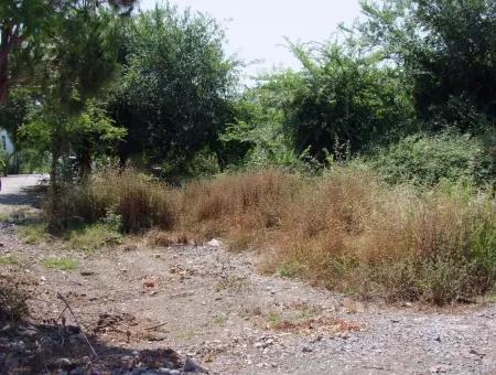 Gurpinar In Dalyan For Sale Dalyan Land For Sale, Plot For Sale In Köşebaşı 993M2 0 60