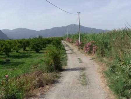 Merkez Dalyan Iztuzu Lake Garden Villa For Sale