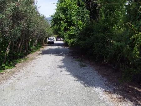 1500M2 Land For Sale In Dalyan Gulpinar, Dalyan Plot For Sale 40 Right Around The Corner