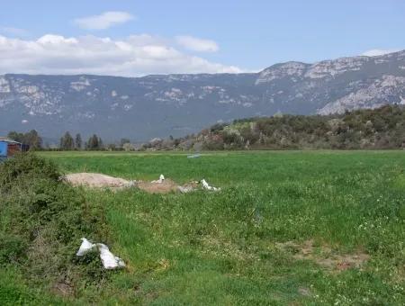 In Akyaka For Sale: Land For Sale Farm For Sale A Farm Near The Sea Of Ars, Yatirimlik 21625M2