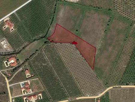 Maras In Dalyan For Sale Dalyan 7300M2 %5 Land Plot For Sale