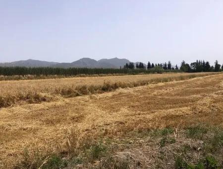 Farm Land For Sale 39 Acres In Eskikoy