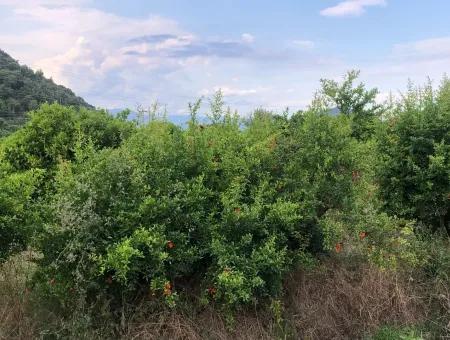 722M2 Plot For Sale In Dalyan Gülpınar For Sale