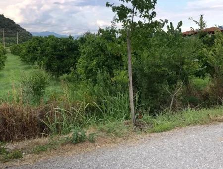 722M2 Plot For Sale In Dalyan Gülpınar For Sale