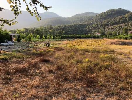 2300M2 Land For Sale Near The Center Of The Land For Sale