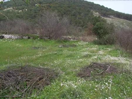 In Incirkoy Uzumlu Fethiye Plot For Sale Farm For Sale In Incirkoy