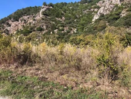 Land For Sale In Sarıgermede 30,000M2 Land For Sale With Sea View