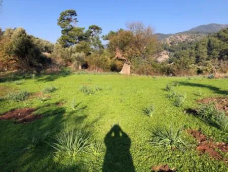 Ekincik Land For Sale 10,038M2 Land For Sale Field