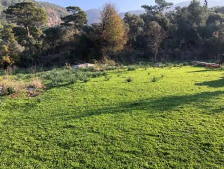 Ekincik Land For Sale 10,038M2 Land For Sale Field