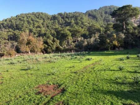 Ekincik Land For Sale 10,038M2 Land For Sale Field