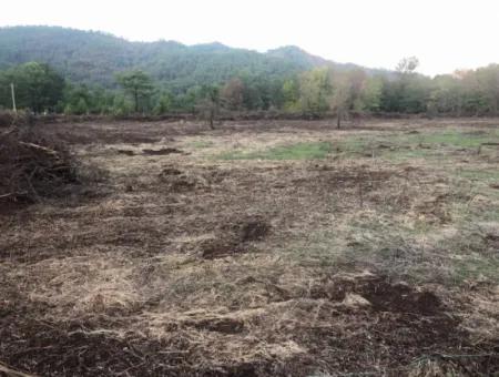 Sultaniye Land For Sale Near 10577M2 Lake Land For Sale