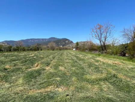 3700M2 Land For Sale In Dalyan