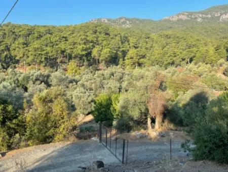 Çandir 3,800M2 Land For Sale