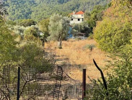 Çandir 3,800M2 Land For Sale