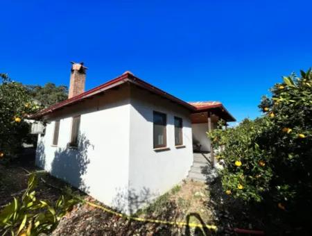 One-Storey House For Sale In 5000M2 Land In Çandır