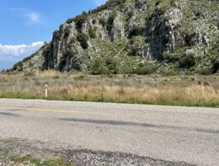 Dalyan Iztuzu Beach Road Zero 19,600M2 Field Land For Sale