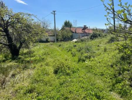 Village House For Sale In 5650M2 Field In Zeytinalann