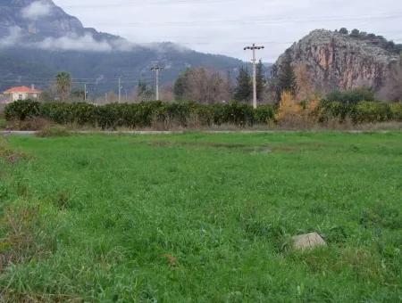 Dalyan Gülpınar Satılık Arsa Dalyan 1,002M2 Satılık Köşenası Satılık Arsa