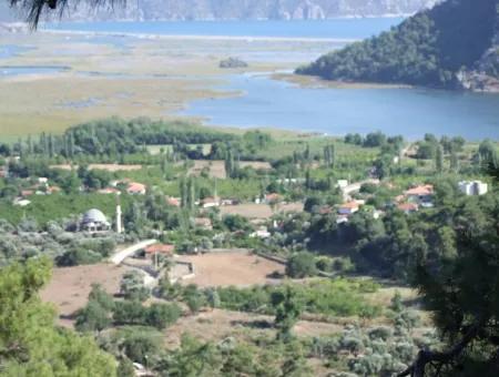 Çandır Satılık Arsa Deniz Manzaralı 6265 M2 Satılık Arsa