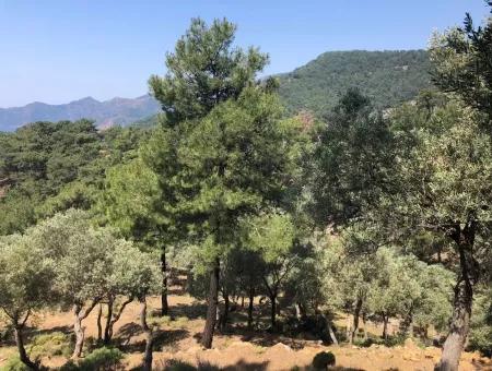 Çandır'da Deniz Manzaralı 7034M2 Satılık Tarla