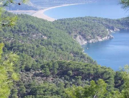 Ekincik Çandır Arasın'da Deniz Manzaralı Kelepir Emlak Satılık Arsa